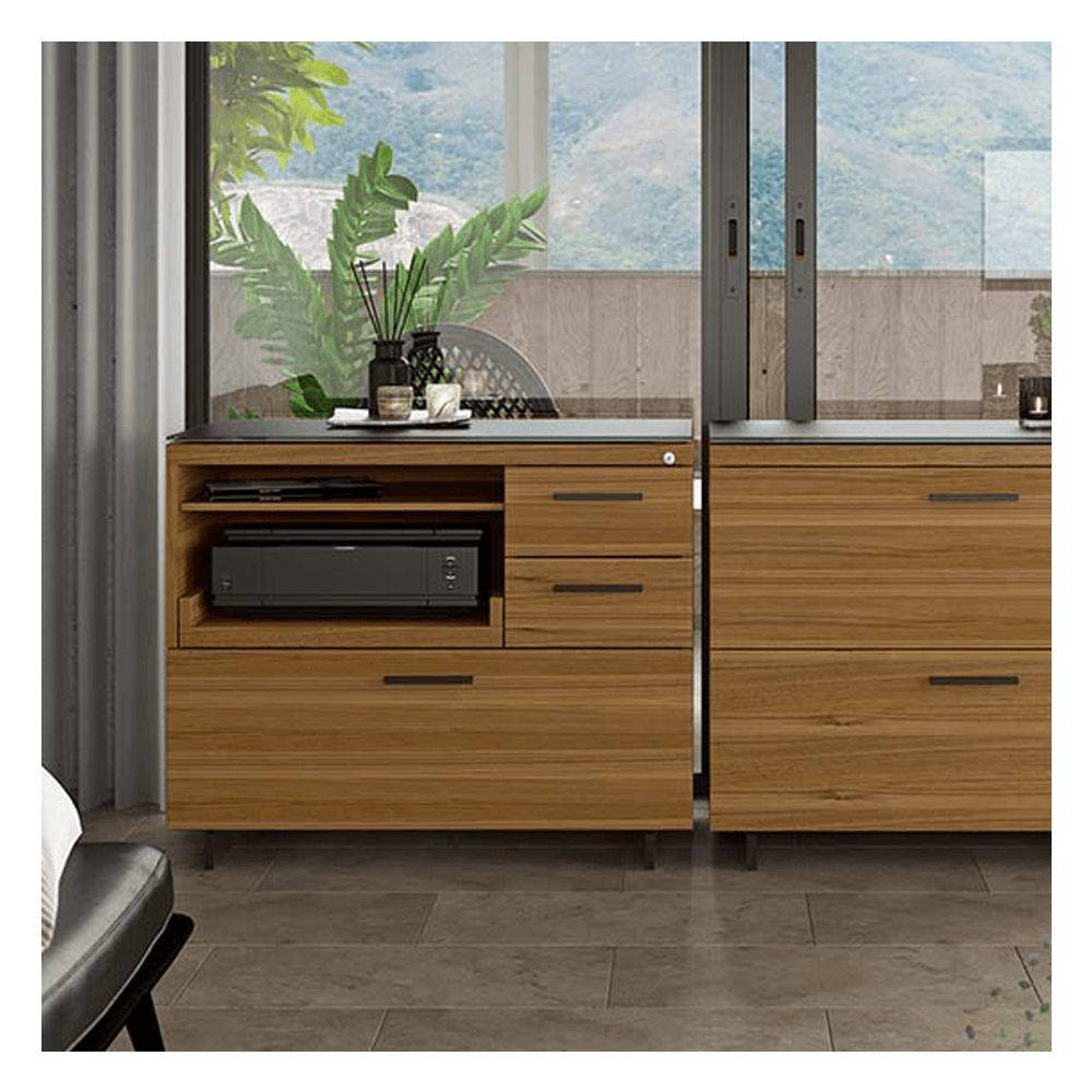 BDI Multifunctional Cabinet Vancouver
